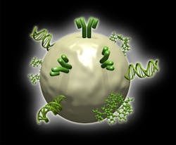 Gold nanoparticles from Particular GmbH are synthesized using laser ablation in liquids, for improved attraction between gold and conjugated biomolecules. Gold nanoparticles from Particular GmbH are synthesized using laser ablation in liquids, for improved attraction between gold and conjugated biomolecules.