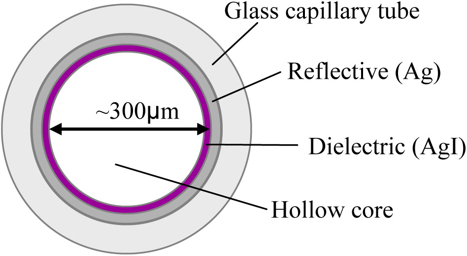 The basic structure and coating layers&mdash;silver (Ag) and silver iodide (AgI)&mdash;of the mid-IR and LWIR hollow fibers are shown.