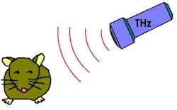 Content Dam Lfw Online Articles 2011 09 Mouse And Terahertz Content Dam Lfw Online Articles 2011 09 Mouse And Terahertz