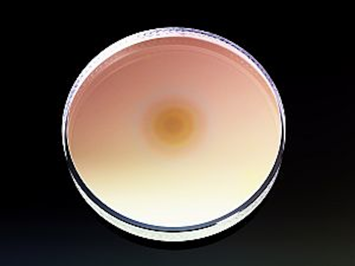 REO graded reflectivity mirrors