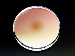 REO graded reflectivity mirrors REO graded reflectivity mirrors