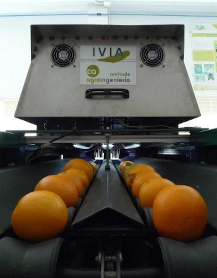 Machine-vision-based inspector sorts oranges