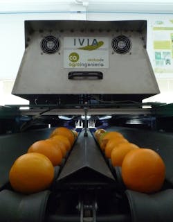 An unsmiling machine-vision-based orange-inspection device carries out his (or her) work. An unsmiling machine-vision-based orange-inspection device carries out his (or her) work.