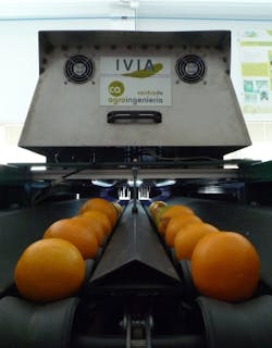 An unsmiling machine-vision-based orange-inspection device carries out his (or her) work.