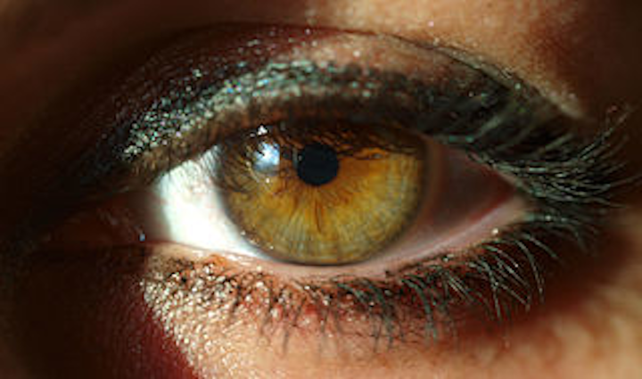 BMC deformable mirror used in wavefront-sensorless AO scanning laser ophthalmoscope