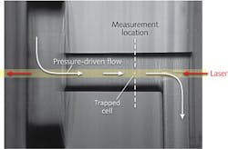 A microscope image shows a trapped cell in the optical chromatography setup. Cells enter the channel by a pressure-driven fluid flow that runs from the top left to the bottom right of the image. Laser light enters from the opposite direction, and the fluid flow is adjusted until the optical and fluidic forces balance, causing the cell to rest at the measurement location.