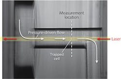 A microscope image shows a trapped cell in the optical chromatography setup. Cells enter the channel by a pressure-driven fluid flow that runs from the top left to the bottom right of the image. Laser light enters from the opposite direction, and the fluid flow is adjusted until the optical and fluidic forces balance, causing the cell to rest at the measurement location. A microscope image shows a trapped cell in the optical chromatography setup. Cells enter the channel by a pressure-driven fluid flow that runs from the top left to the bottom right of the image. Laser light enters from the opposite direction, and the fluid flow is adjusted until the optical and fluidic forces balance, causing the cell to rest at the measurement location.