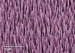 A colorized micrograph shows multiwalled carbon nanotubes, each 40 micrometers long, which in combination absorb more than 99.9% of the light inside the NIST fiber-coupled radiometer. A colorized micrograph shows multiwalled carbon nanotubes, each 40 micrometers long, which in combination absorb more than 99.9% of the light inside the NIST fiber-coupled radiometer.