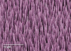 A colorized micrograph shows multiwalled carbon nanotubes, each 40 micrometers long, which in combination absorb more than 99.9% of the light inside the NIST fiber-coupled radiometer.
