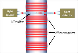 A series of SNAP microresonators is formed by nanoscale variation of the optical fiber diameter. Each resonator can be fed light from a tapered fiber tip; a similar tip can collect light from the resonator.