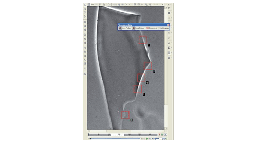 CRAIC Technologies rIQ automated system for glass fragment analysis