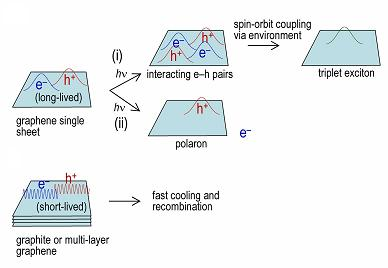 An initially delocalized electron-hole gas localizes at high excitation densities in the presence of heavy atoms to produce strong absorbing excitons or polarons (top). The resultant excited-state absorption mechanism can be very effective, in contrast to the fast recombination in other forms of graphene (bottom).