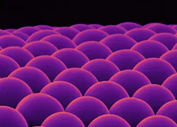 Regularly aligned hemispheres of calcium carbonate form an array of high-quality optical lenses.