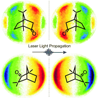 A circular dichroism effect is seen in images of photoelectron angular distributions produced by resonance-enhanced multiphoton ionization using femtosecond-laser pulses, allowing the two mirror-image versions of a molecule to be distinguished.