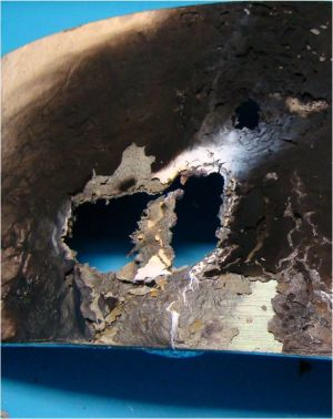 Content Dam Lfw Online Articles 2012 05 Damage Small