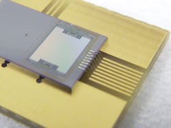 Integrated food-testing spectrometer is smaller than a sugar cube