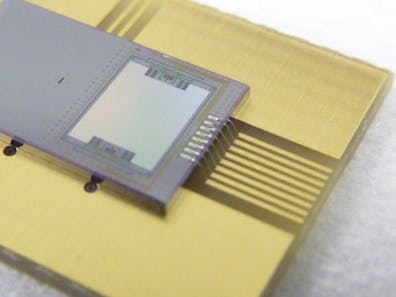 Integrated food-testing spectrometer is smaller than a sugar cube