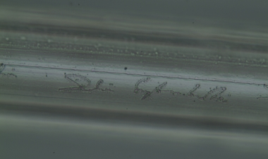 The name of Lithuania's president is laser-engraved on a thread.