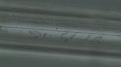 The name of Lithuania's president is laser-engraved on a thread. The name of Lithuania's president is laser-engraved on a thread.