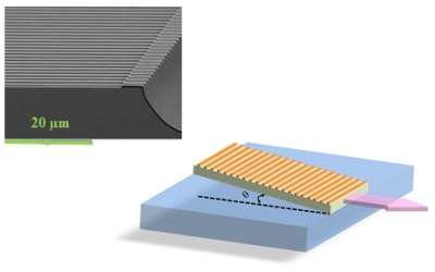 Scanning electron micrograph (left) and schematic (right) of the beta-DFB.