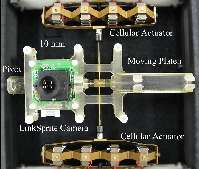 Photo shows the camera positioning system used by researchers Joshua Schultz and Jun Ueda from Georgia Tech's School of Mechanical Engineering.