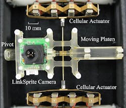 Photo shows the camera positioning system used by researchers Joshua Schultz and Jun Ueda from Georgia Tech's School of Mechanical Engineering. Photo shows the camera positioning system used by researchers Joshua Schultz and Jun Ueda from Georgia Tech's School of Mechanical Engineering.