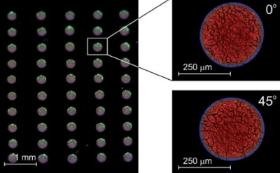 Inkjet-printed lasers.