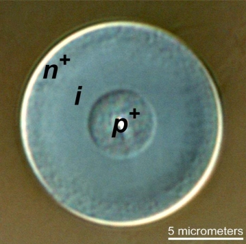 A cross-sectional image is shown of a silicon-based optical fiber with solar-cell capabilities. Shown are the layers -- n+, i, and p+ -- that have been deposited inside the pore of the fiber.