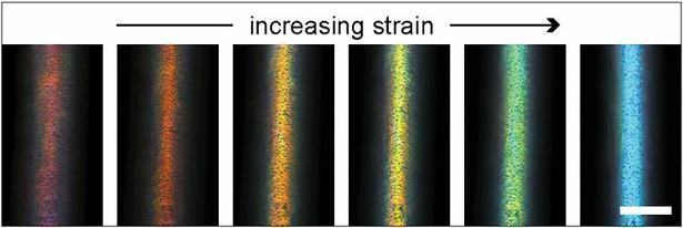 The photonic fibers are made by wrapping multiple layers of polymer around a glass core, which is later etched away. The thickness of the layers determines the apparent color of the fiber, which can range across the entire visible spectrum of light.