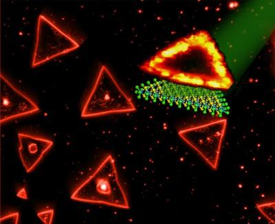 Triangular single layers of tungsten disulfide have been synthesized by Penn State researchers. The edges of the triangles exhibit extraordinary photoluminescence, while the interior area does not. The photoluminescent signal disappears as the number of layers increases. (Courtesy Penn State)