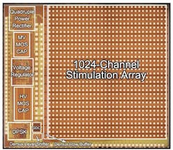 While the Argus II is a major breakthrough in retinal prosthetics, researchers are continuing their research. This third-generation retina chip, itself still very early in the development stage, contains 1000 electrodes and was developed by Wentai Liu, a professor of bioengineering at the UCLA Henry Samueli School of Engineering and Applied Science and his colleagues. Early engineering done by Liu and his team was licensed to Second Sight for the Argus II Retinal Prosthesis System. (Courtesy Wentai Liu, UCLA) While the Argus II is a major breakthrough in retinal prosthetics, researchers are continuing their research. This third-generation retina chip, itself still very early in the development stage, contains 1000 electrodes and was developed by Wentai Liu, a professor of bioengineering at the UCLA Henry Samueli School of Engineering and Applied Science and his colleagues. Early engineering done by Liu and his team was licensed to Second Sight for the Argus II Retinal Prosthesis System. (Courtesy Wentai Liu, UCLA)