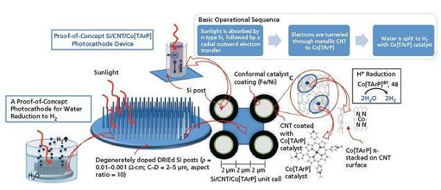 A diagram and basic operational sequence of the proof-of-concept silicon/carbon nanotube (CNT)-based substrate are detailed. The bioinspired catalyst lowers the activation barrier for the photoactivated water splitting reaction. Rapid electron transfer from degenerately doped Si posts to metallic CNT enables the water reduction reaction. CNT material serves not only as an excellent &ldquo;wire&rdquo; for the electron, but as an unsurpassed substrate for the catalyst, since the mechanism (&pi;-stacking) by which it binds does not lead to significant changes in catalytic activity. The unique combination of Si, CNT and Co[TArP] is a very promising approach with a high potential to become a major breakthrough in the field of photocatalytic water splitting research and technology areas.