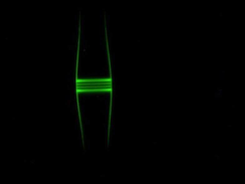 Light captured in fiber oscillates in longitudinal direction