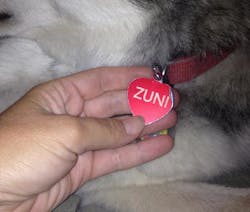 PetSmart laser ID tag for Zuni