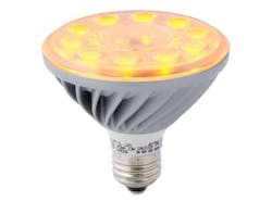 Amber LED lights placed in coastal locations do not distract or draw sea turtle hatchlings and other wildlife towards populated, white-light-illuminated areas so that the animals are more likely to enter the sea safely, reducing sea turtle deaths. Amber LED lights placed in coastal locations do not distract or draw sea turtle hatchlings and other wildlife towards populated, white-light-illuminated areas so that the animals are more likely to enter the sea safely, reducing sea turtle deaths.