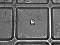 A 10 μm crystal is placed, using laser light, onto a 50-μm-square aperture backed with microfibers ready for freezing and x-ray diffraction studies.