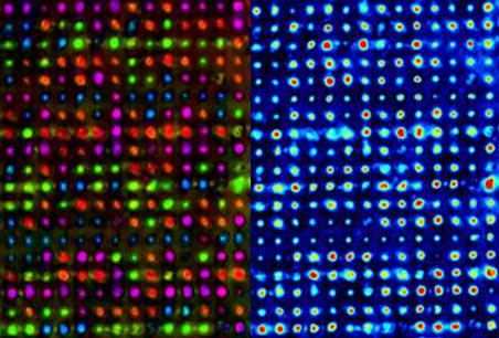From a birefringence measurement of data recorded in three separate layers, the slow axis (left) and retardance (right) distribution are measured with 60X magnification.