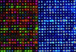 From a birefringence measurement of data recorded in three separate layers, the slow axis (left) and retardance (right) distribution are measured with 60X magnification. From a birefringence measurement of data recorded in three separate layers, the slow axis (left) and retardance (right) distribution are measured with 60X magnification.