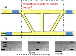 The Texas Tech grant will help Maddala commercialize software that helps to design microfluidic ladder networks to synchronize droplet pairs, for example. (Image credit: Texas Tech University) The Texas Tech grant will help Maddala commercialize software that helps to design microfluidic ladder networks to synchronize droplet pairs, for example. (Image credit: Texas Tech University)