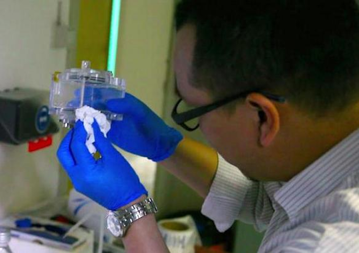 TU Delft and the Helmholtz-Zentrum Berlin have developed a simpler solar cell concept that improves the production of hydrogen from sunlight. (Image credit: TU Delft)
