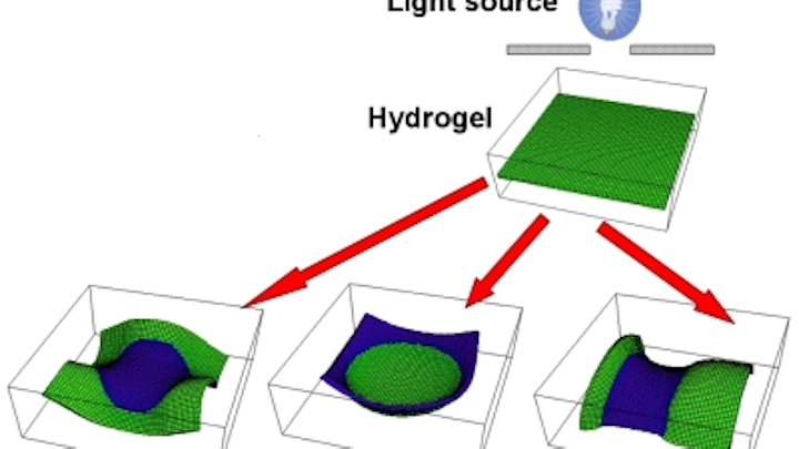 University of Pittsburgh duo demos hydrogels that can be moved and shaped by light