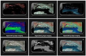 Content Dam Lfw Online Articles 2013 09 9 Lfw 20 Eigen