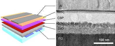 Quantum-dot device structure is seen in a transmission-electron-microscopy (TEM) image of a cross-section of a real QD-LED.