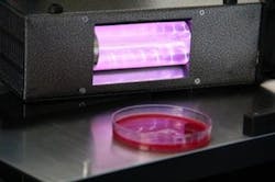 An excimer lamp illuminates MRSA bacteria in a petri dish with 207 nm UV light. An excimer lamp illuminates MRSA bacteria in a petri dish with 207 nm UV light.