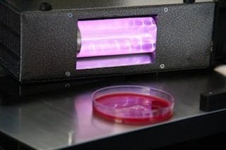 An excimer lamp illuminates MRSA bacteria in a petri dish with 207 nm UV light.
