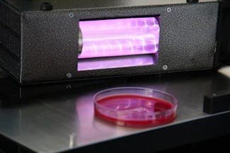 An excimer lamp illuminates MRSA bacteria in a petri dish with 207 nm UV light.