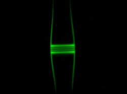 Light in a bottle resonator: An optical fiber contains a captured beam of light.