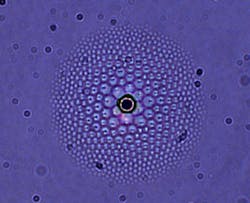 A liquid crystal 'flower' is shown under magnification; the black dot at the center is the silica bead that generates the flower's pattern. A liquid crystal 'flower' is shown under magnification; the black dot at the center is the silica bead that generates the flower's pattern.