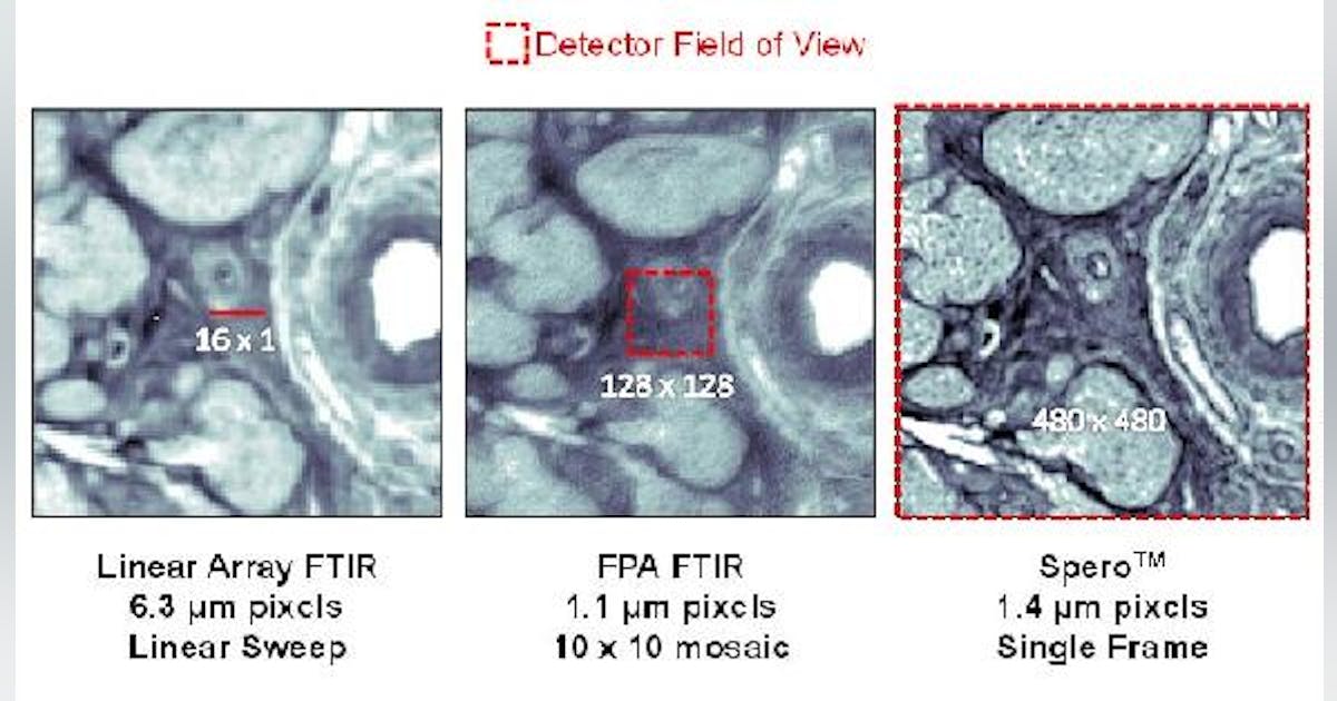 Daylight launches QCL-based IR microscope for real-time spectral ...