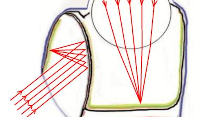 Double-duty deep-sea fish eye has one mirrored and one refractive lens system